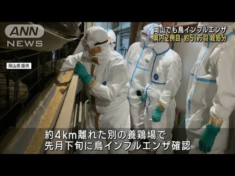 岡山 鳥インフルエンザ確認 県内2例目 約51万羽処分(2022年11月4日)