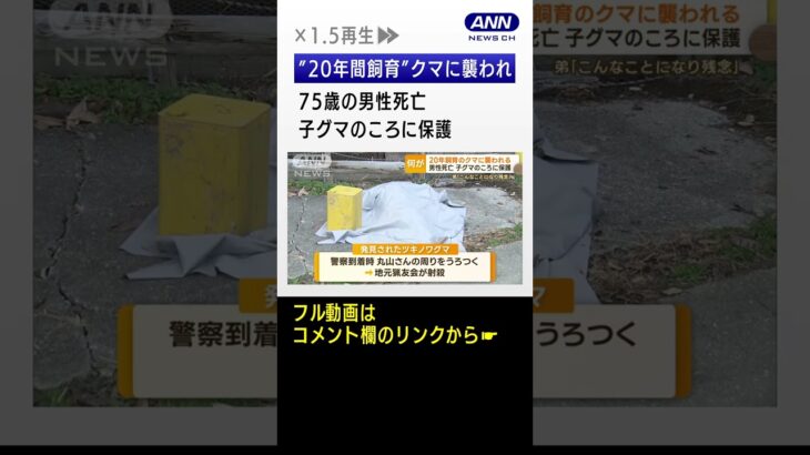 “20年間飼育”クマに襲われ…男性死亡　子グマのころに保護　当初ネコほどの大きさも #shorts