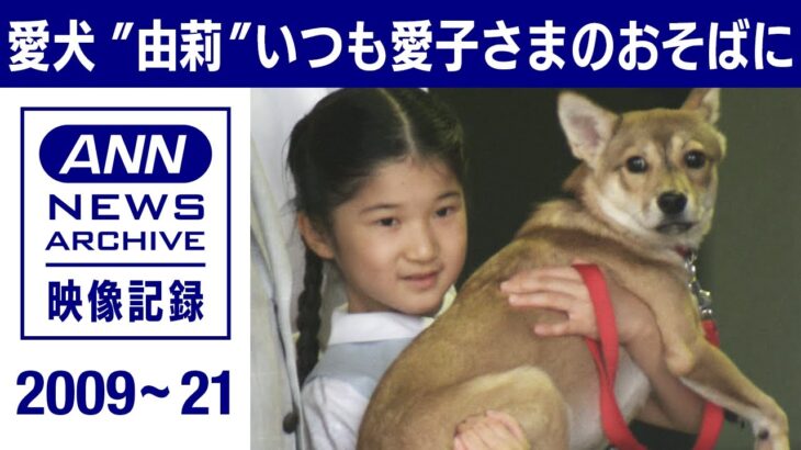 愛犬“由莉”いつも愛子さまのおそばに(2009～2021年)【皇室】【映像記録　news archive】
