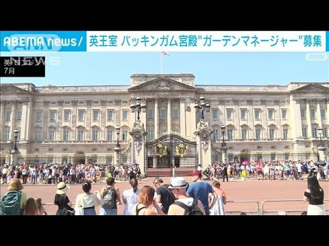 急募！「バッキンガム宮殿の庭の管理者求む」(2022年11月2日)