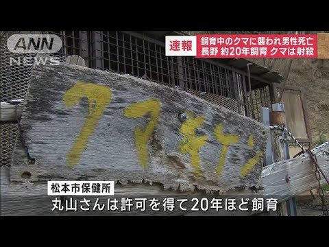 【速報】長野で飼育中のクマに襲われ男性死亡(2022年11月28日)