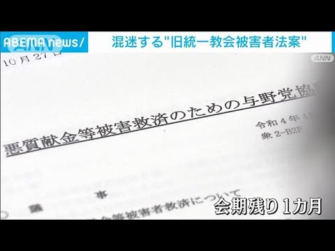 混迷する旧統一教会 被害者救済法案(2022年11月12日)