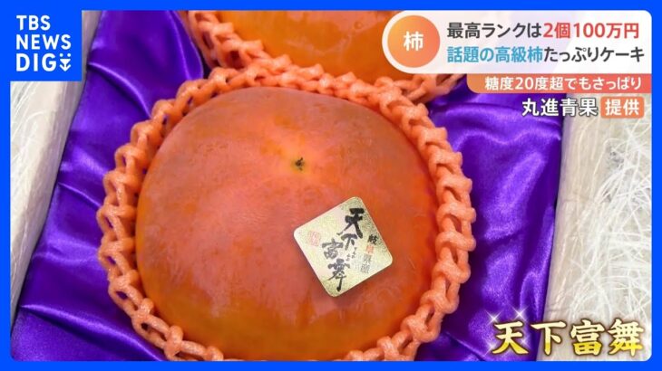 2個で100万円も！あぶって良し！凍らせて良し！実は深～い「柿グルメ」の世界｜TBS NEWS DIG