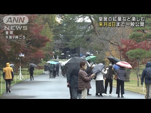 3年ぶり“皇居の紅葉”楽しむ　12月4日まで一般公開(2022年11月26日)