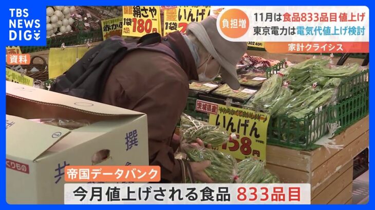 値上げの秋続く…牛乳も一斉値上げ　東電も値上げ検討　今月は食品833品目が値上げに｜TBS NEWS DIG