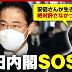 【政権崩壊】自民党は総理を放置？「安倍さんが生きてたら…」岸田内閣の実情