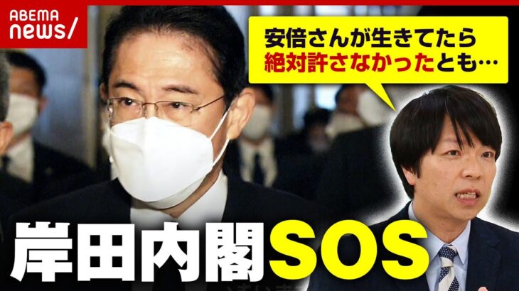 【政権崩壊】自民党は総理を放置？「安倍さんが生きてたら…」岸田内閣の実情