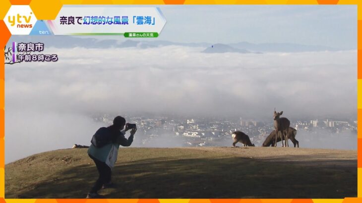 奈良市で「雲海」が現れる　幻想的な風景が広がる　前日の雨に加えて、晴れて冷え込んだため