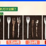 自然に還る？「プラスチック＝環境に悪い」を覆す新素材「グリーンプラネット」とは｜TBS NEWS DIG