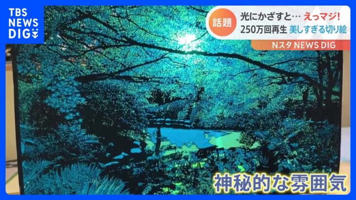 「光が差した瞬間、息をのみました」“美しすぎる切り絵”が話題！｜TBS NEWS DIG