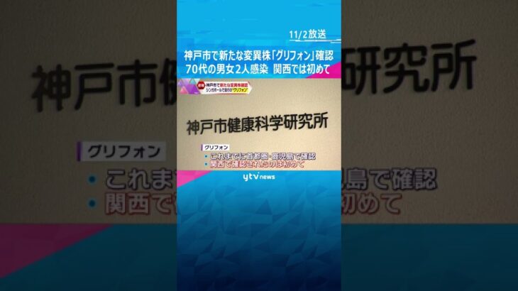 神戸市で新たな変異株「グリフォン」確認　７０代の男女２人感染、いずれも軽症　関西では初めて #shorts #読売テレビニュース