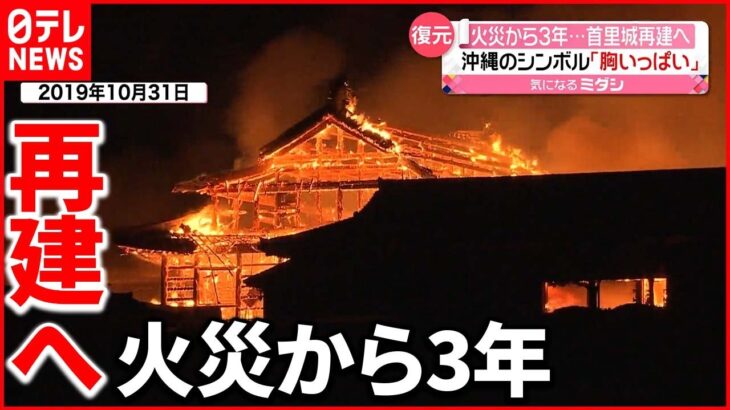 【首里城】「正殿」の再建工事始まる 引退していた大工が参加“経験と技術を後世に”