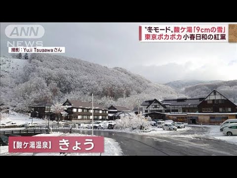 「真っ白」と「真っ黄色」の絶景…北海道に初雪の便り　東京はポカポカ小春日和(2022年11月4日)