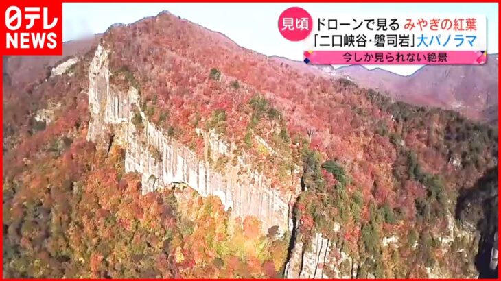 【絶景】二口峡谷・磐司岩の紅葉 ドローン映像　宮城　NNNセレクション