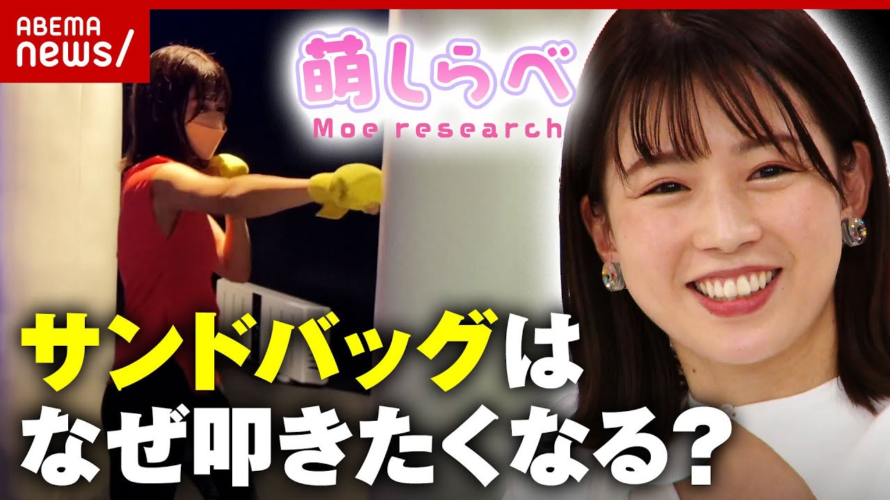 【萌しらべ】なぜサンドバッグを見ると叩きたくなるのか？検証