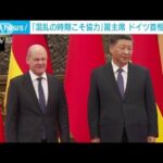 「混乱の時期こそ協力」習主席 ドイツ・ショルツ首相と会談(2022年11月5日)
