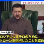 ゼレンスキー大統領　イランは「まだうそをついている」ロシアへのドローン供与で｜TBS NEWS DIG