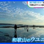 息を飲むような景色…和歌山の“ウユニ塩湖”　地元の人たちが守る“未来に残したい絶景”とは｜TBS NEWS DIG