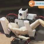 ヒト型ロボが“段差を乗り越え救助活動”「ヒト型レスキューロボットコンテスト」開催（2022年11月6日）
