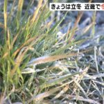 「車のウインドーガラスが凍っていた」滋賀県甲賀市で氷点下を記録　近畿で今季初に（2022年11月7日）