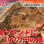 【夕方ニュースライブ】ズワイガニ初競り…最高級「五輝星」に100万円 /会計検査院が指摘　昨年度の国の決算は約455億円が｢不適切｣　 など――最新ニュースまとめ（日テレNEWS）