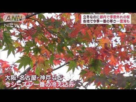 【立冬】各地で今季一番の寒さ　紅葉色づき外国人客歓喜…「錦鯉サミット」世界初開催(2022年11月7日)