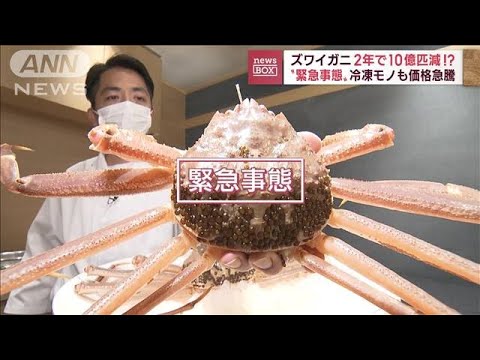 冬の味覚がピンチ　スワイガニ高騰「年々少なく」漁獲量8割以下　アラスカ禁漁も影響(2022年11月7日)