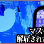 「イーロン・マスクに解雇されました」ツイッター社が従業員の半数を解雇　日本でも多くの社員が解雇の対象に。今後は差別的な投稿が増えるおそれも…｜TBS NEWS DIG