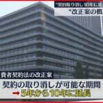 【消費者契約法】改正案の概要判明 “契約取り消し可能期間を5年から10年に延長”など