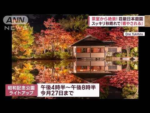 【幻想的光景】「癒やされる」茶室から絶景　空気カラカラで乾燥対策グッズが人気(2022年11月10日)