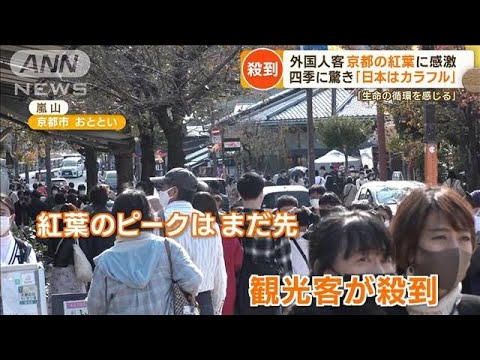 【独自】京都の紅葉　外国人観光客が殺到…“舞妓パパラッチ”姿も　迷惑行為に立て札(2022年11月11日)