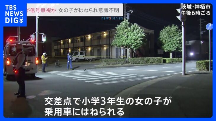 小学生の女の子が車にひかれ意識不明の重体　茨城・神栖市　車の信号無視が原因か｜TBS NEWS DIG