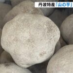 今年は“例年以上の出来”に　特産「山の芋」の出荷が最盛期　兵庫・丹波市（2022年11月13日）