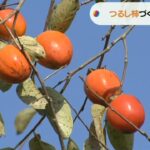 「つるし柿」づくりが最盛期　今年は“大ぶり”でおいしい仕上がりに　兵庫・神鍋高原（2022年11月14日）