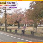 財政難の京都市　公園の整備計画を断念、未整備区間を民間へ　「いい加減にして！」市民から反発の声