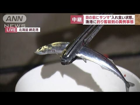 【異例事態】サンマ“入れ食い状態”漁港に釣り客殺到(2022年11月15日)