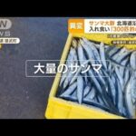【異変】不漁のサンマ　北海道に大群が…“入れ食い状態”2人で300匹「10年分釣った」(2022年11月16日)