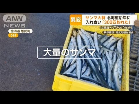 【異変】不漁のサンマ　北海道に大群が…“入れ食い状態”2人で300匹「10年分釣った」(2022年11月16日)