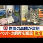 ペット“飼育放棄”急増　物価高騰で生活厳しく…欧州で“深刻化”　日本にも影響か？(2022年11月16日)