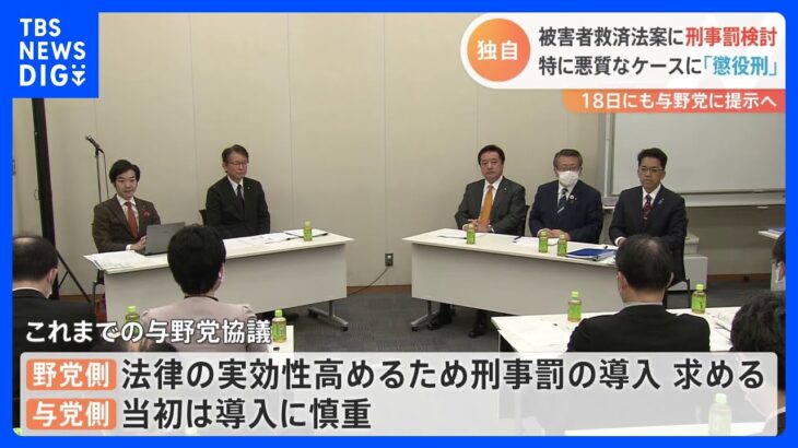 【独自】被害者救済法案　悪質ケースに「懲役刑」導入も検討　18日にも与野党に提示へ｜TBS NEWS DIG