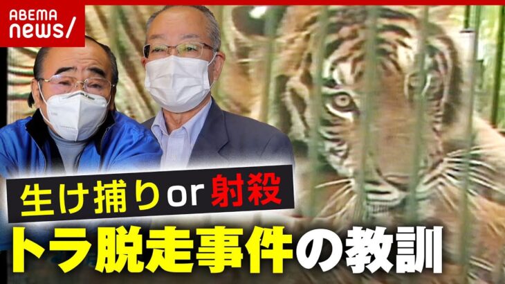 【トラ脱走】生け捕りは無理？千葉”トラ脱走事件”の教訓「麻酔銃はすぐに効かない」