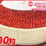 【超特大ショートケーキ】「子供の頃の夢がかなった」イチゴ5000粒・直径100センチ