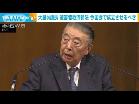 大島前衆院議長　旧統一教会の被害者救済法案　今国会で成立を(2022年11月17日)