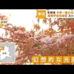 【冬到来】札幌で“初雪”　関東甲信では“初積雪”　各地で今季一番“冷え込み”(2022年11月17日)