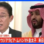 【独自】岸田総理と週末会談予定のサウジ・ムハンマド皇太子の来日がキャンセルに 日本の最大の原油調達先｜TBS NEWS DIG