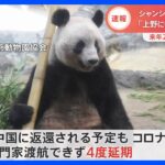 上野動物園のジャイアントパンダ“シャンシャン”　来年2月中旬から3月中旬に中国に返還へ｜TBS NEWS DIG