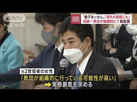 【新証言】旧統一教会が組織的に？養子あっせん「海外の家庭にも」(2022年11月18日)