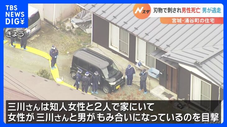 宮城県涌谷町で男性刺され死亡　犯人は車で逃走｜TBS NEWS DIG