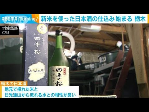 新米を使った日本酒の仕込み、栃木で始まる　地元米と日光連山の水で(2022年11月21日)
