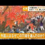 なぜ？“穴場の紅葉”楽しむ外国人　「大観光地」あえて行かない　「現実離れ」に感動【もっと知りたい！】(2022年11月21日)